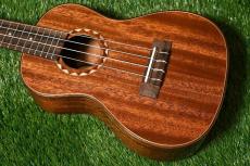 DCT DUC-600M Concert