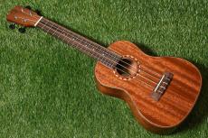 DCT DUC-600M Concert_3