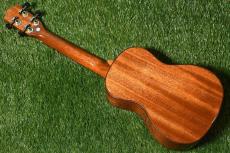 DCT DUC-600M Concert_4