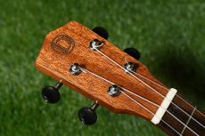 DCT DUC-600M Concert_5