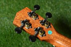 DCT DUC-600M Concert_6