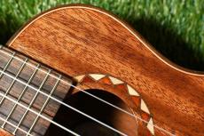 DCT DUC-600M Concert_9