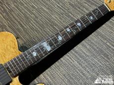 Aria Pro II TEG-780【豪華仕様の限定モデル! アウトレット特価!】_3