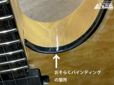 Aria Pro II TEG-780【豪華仕様の限定モデル! アウトレット特価!】_8