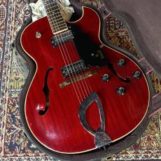 Guild 【レアヴィンテージ】T-100 D 【1970年Vintage】_3