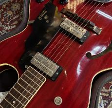 Guild 【レアヴィンテージ】T-100 D 【1970年Vintage】_5