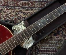 Guild 【レアヴィンテージ】T-100 D 【1970年Vintage】_6
