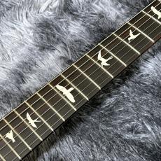 Paul Reed Smith [PRS] CE 24 Custom Configuration Natural #0409997【限定仕様】【2025年製】【人気カラー!】_6