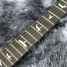 Paul Reed Smith [PRS] CE 24 Custom Configuration Natural #0409996【限定仕様】【2025年製】【人気カラー!】_6