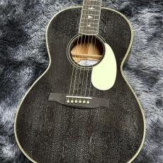 Paul Reed Smith [PRS] SE P20E Parlor Dog Hair【NEWカラー】【エレアコ】【小振りなパーラーサイズ!】