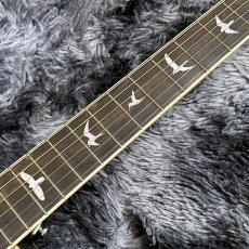Paul Reed Smith [PRS] SE P20E Parlor Dog Hair【NEWカラー】【エレアコ】【小振りなパーラーサイズ!】_5