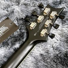 Paul Reed Smith [PRS] SE P20E Parlor Dog Hair【NEWカラー】【エレアコ】【小振りなパーラーサイズ!】_7