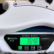 Jackson X Series Signature Adrian Smith SDXM, Maple Fingerboard, Snow White with White Pickguard 【特価】_10