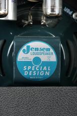 Fender 1978 Champ Silver Face_5