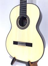 ASTURIAS CUSTOM S(650)