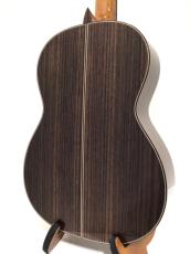 ASTURIAS CUSTOM S(650)_5