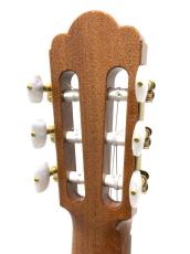ASTURIAS CUSTOM S(650)_7