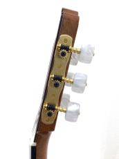 ASTURIAS CUSTOM S(650)_10