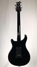 Paul Reed Smith [PRS] SE EG -Tobacco Sunburst- 【2004年製】【USED】_8