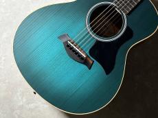 Taylor GS Mini-e LTD_3