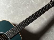 Taylor GS Mini-e LTD_5