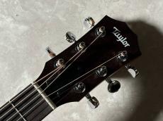 Taylor GS Mini-e LTD_6