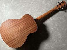 Taylor GS Mini-e LTD_8