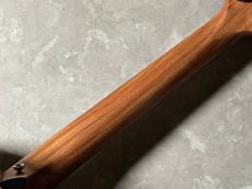 Taylor GS Mini-e LTD_9