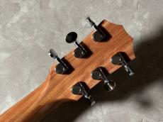 Taylor GS Mini-e LTD_10