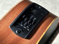 Taylor GS Mini-e LTD_11