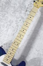 FUJIGEN 【ホロウボディ】NTE100MAHT See-Thru Blue Burst #G250074【3.43kg】_5