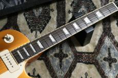 Edwards E-LP-STD/P Gold Top_4