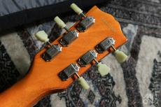 Edwards E-LP-STD/P Gold Top_6