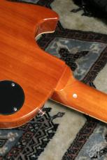 Edwards E-LP-STD/P Gold Top_8