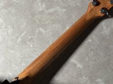 Taylor 214ce-K SB Plus_9