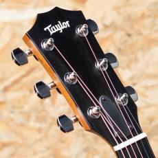 Taylor 414ce Studio Shaded Edge Burst_8