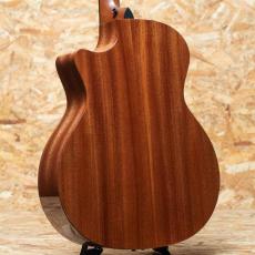 Taylor 314ce Studio Special Edition_2
