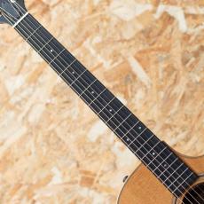 Taylor 314ce Studio Special Edition_6
