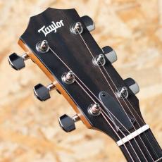 Taylor 314ce Studio Special Edition_8