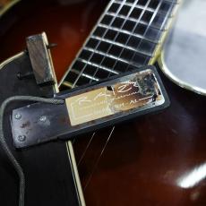 Eastman AR-805CE / Sunburst【秋の夜長】_8
