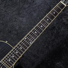 Duesenberg 【2009年製】Starplayer TV -Black Crocodile-【3.57kg】_3