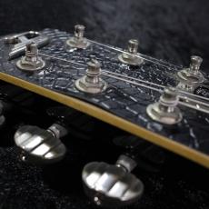 Duesenberg 【2009年製】Starplayer TV -Black Crocodile-【3.57kg】_5