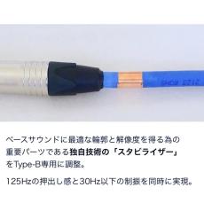 The NUDE CABLE Type- B for Bass 5m L/S【店内での数回の試奏によるアウトレット価格】【即納可能】【送料無料】_7