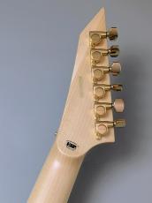 Edwards E-ALEXI KATAKANA  #ED9251263 【3.44kg】_9