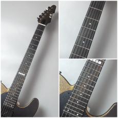 E-II T-6 HS -Pale Gold Sparkle Satin- ES8061263 【4.04kg】_4