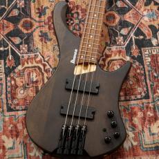 Ibanez EHB600-WNF (Walnut Flat) 【特価】