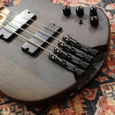 Ibanez EHB600-WNF (Walnut Flat) 【特価】_3
