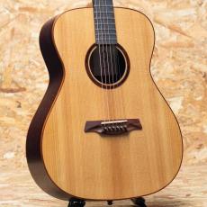 Maestro Guitars VIWE4