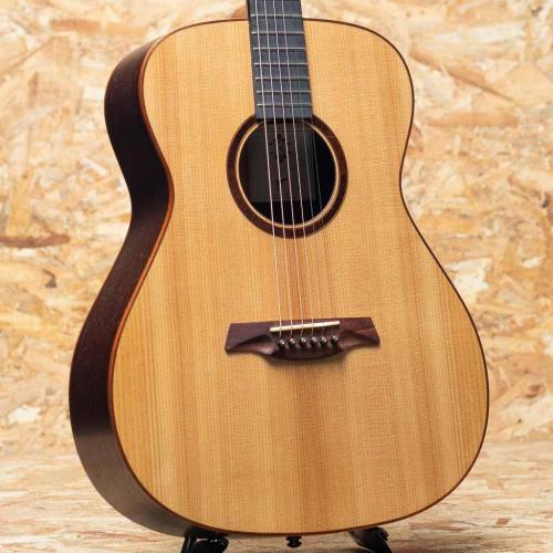 Maestro Guitars VIWE4