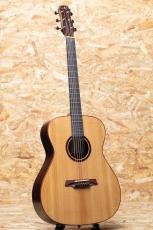 Maestro Guitars VIWE4_3